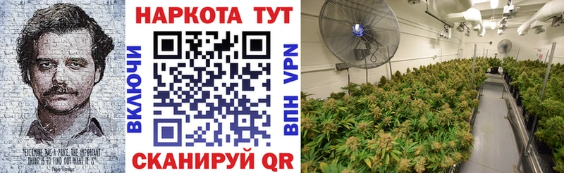 Гашиш Моршанск
