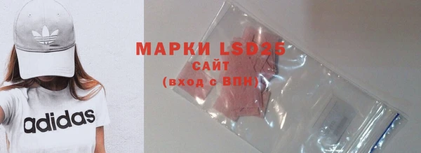 индика Алексин