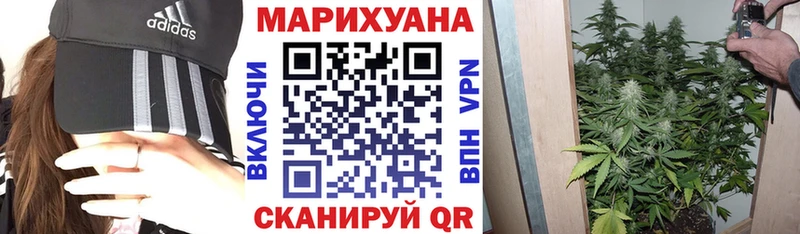 Конопля MAZAR  цены наркотик  Моршанск 